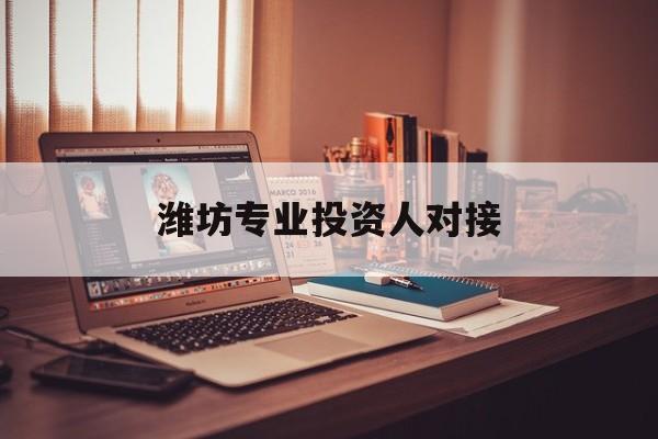文昌市潍坊专业投资人对接(潍坊专业投资人对接中心)