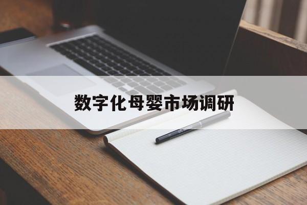 文昌市数字化母婴市场调研(数字化母婴市场调研报告)