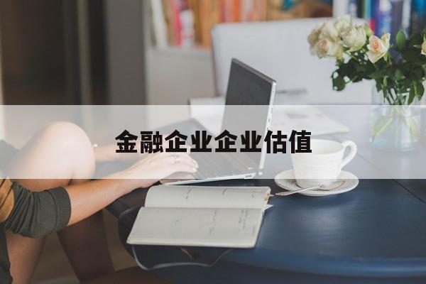 文昌市金融企业企业估值(最新企业估值怎么填)